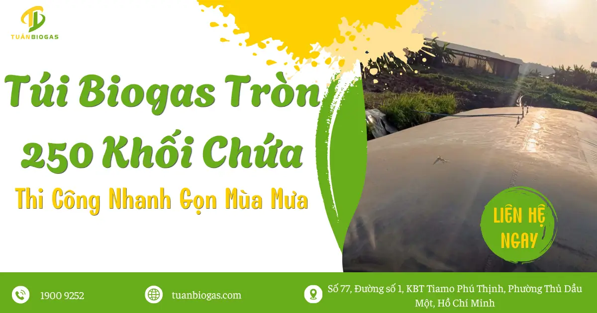 Túi Biogas Tròn 250 Khối Chứa: Giải Pháp Thi Công Siêu Tốc Trong Mùa Mưa Cho Trang Trại